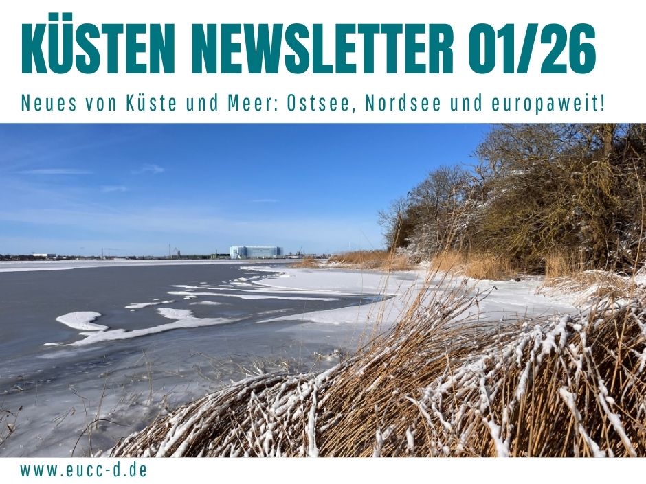 Küsten Newsletter